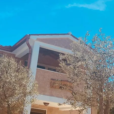 Wellness House Oliva, Heated Pool, Sauna And Jacuzzi Villa *