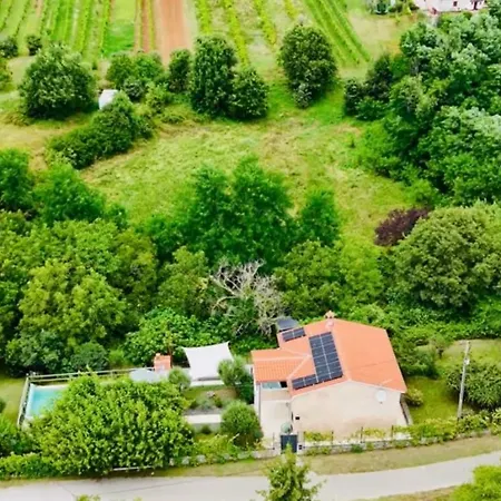 Wellness House Oliva With Heated Salt Water Pool, Sauna & Jakuzzi Вилла Лабин