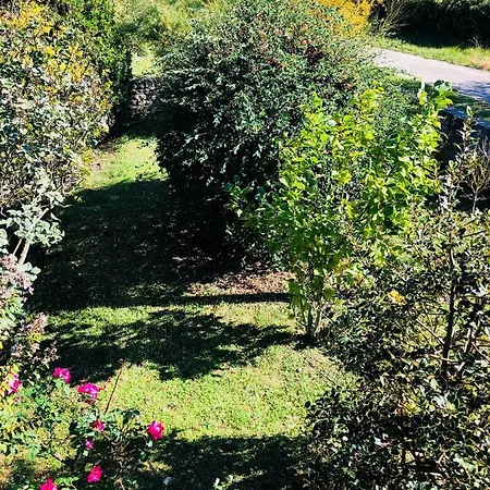Villa Wellness House Oliva, Heated Pool, Sauna And Jacuzzi Labin (Istria)